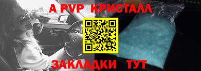 крисы Кузнецк