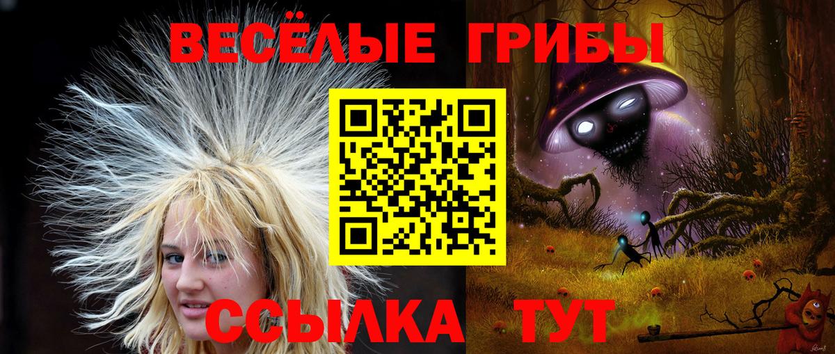 Псилоцибиновые грибы мухоморы Иваново